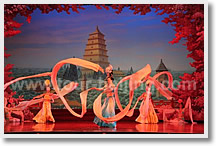 Shanghai Xian Tour